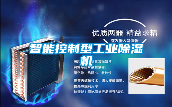 智能控制型工业好色先生污污版