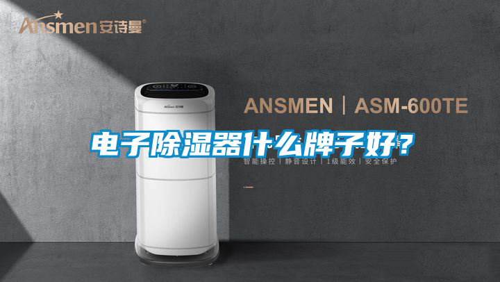 电子除湿器什么牌子好？