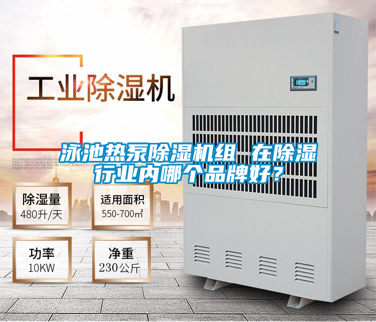 泳池热泵好色先生污污版组 在除湿行业内哪个品牌好？