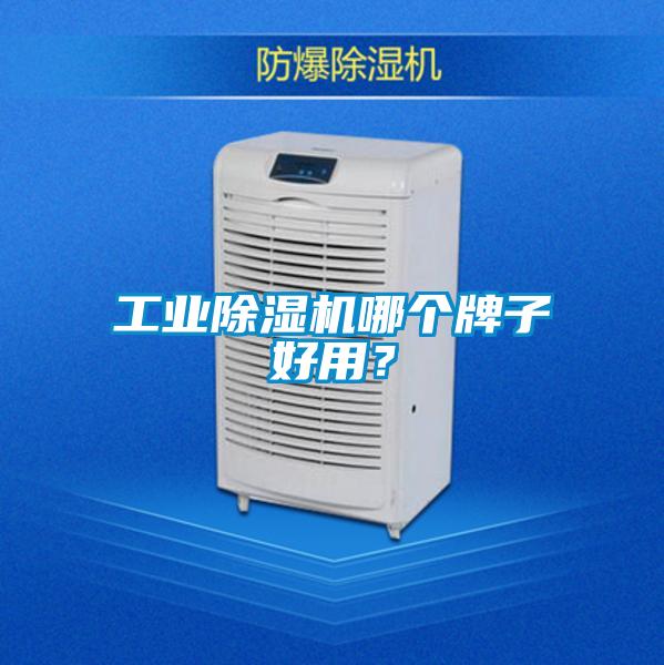 工业好色先生污污版哪个牌子好用？