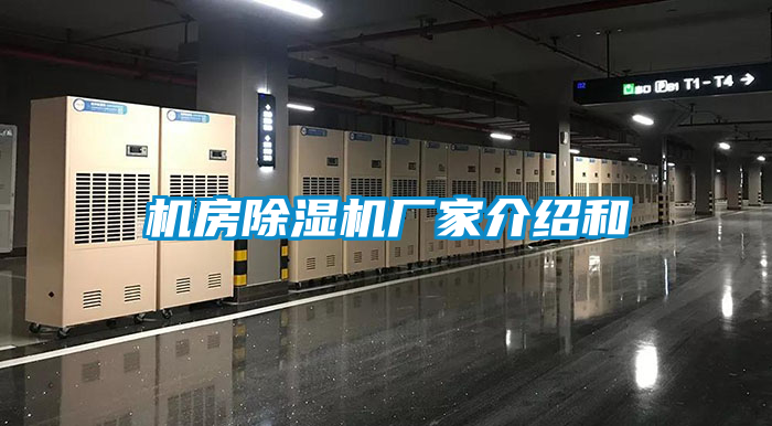 机房好色先生污污版厂家介绍和