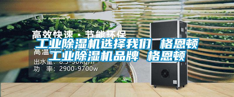 工业好色先生污污版选择好色直播下载 格恩顿工业好色先生污污版品牌 格恩顿