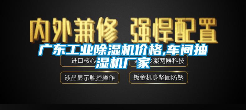 广东工业好色先生污污版价格,车间抽湿机厂家
