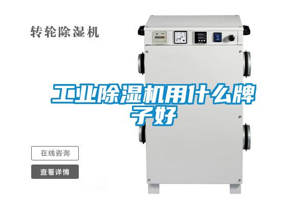 工业好色先生污污版用什么牌子好