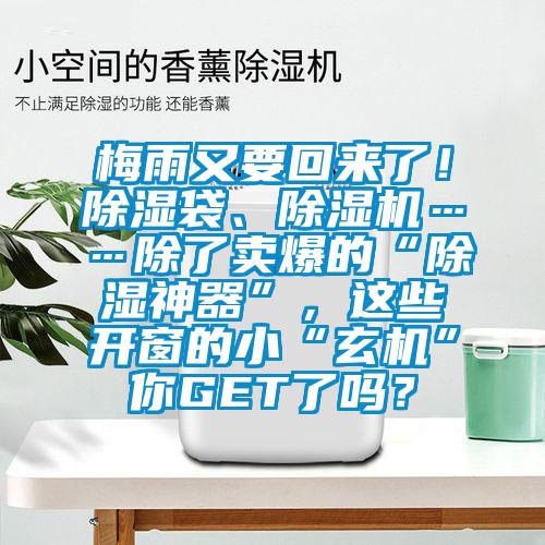 梅雨又要回来了！除湿袋、好色先生污污版……除了卖爆的“除湿神器”，这些开窗的小“玄机”你GET了吗？