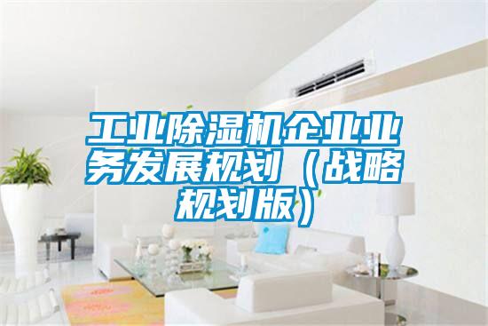 工业好色先生污污版企业业务发展规划（战略规划版）