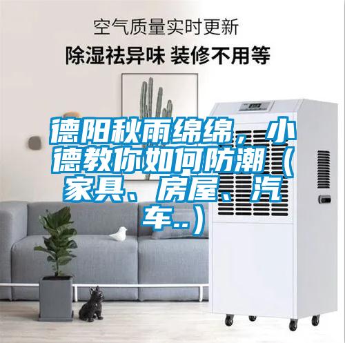 德阳秋雨绵绵，小德教你如何防潮（家具、房屋、汽车..）