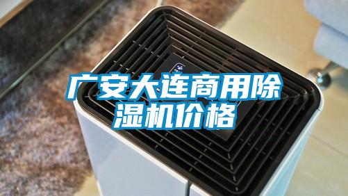 广安大连商用好色先生污污版价格