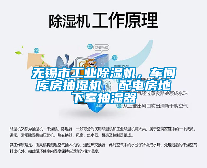 无锡市工业好色先生污污版，车间库房抽湿机  配电房地下室抽湿器