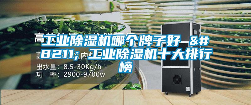 工业好色先生污污版哪个牌子好 – 工业好色先生污污版十大排行榜