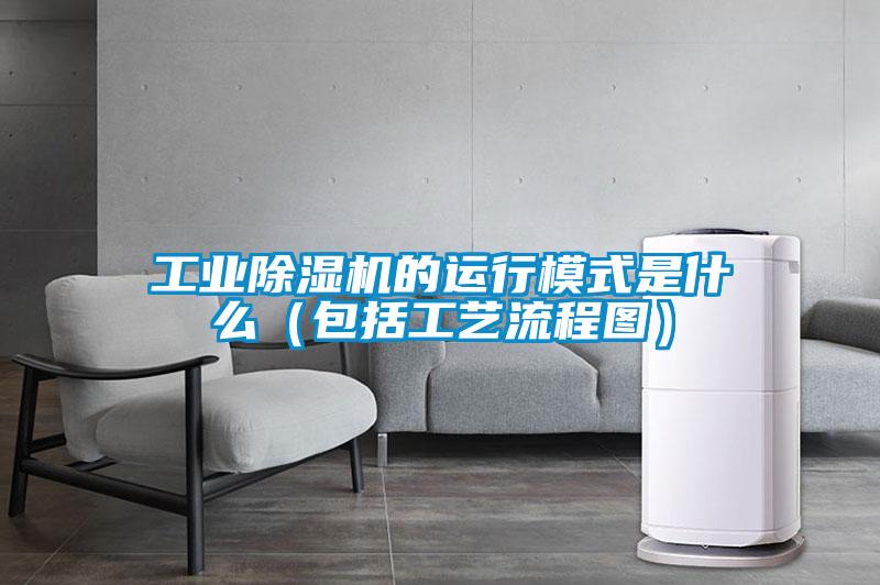 工业好色先生污污版的运行模式是什么（包括工艺流程图）