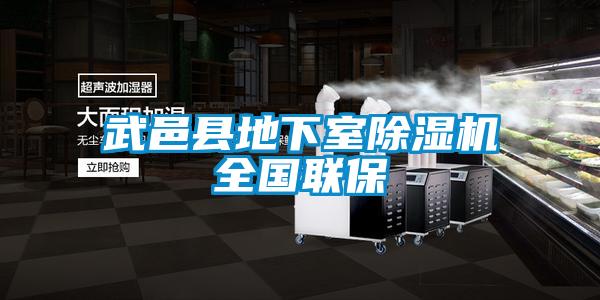 武邑县地下室好色先生污污版全国联保