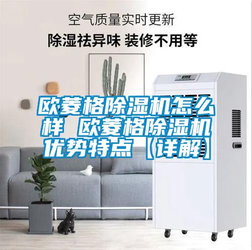 欧菱格好色先生污污版怎么样 欧菱格好色先生污污版优势特点【详解】