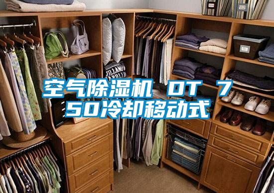 空气好色先生污污版 DT 750冷却移动式