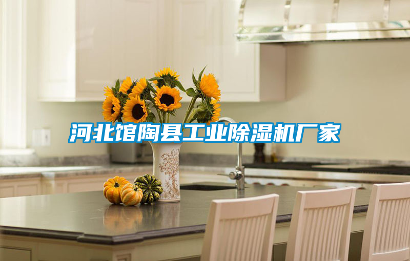 河北馆陶县工业好色先生污污版厂家