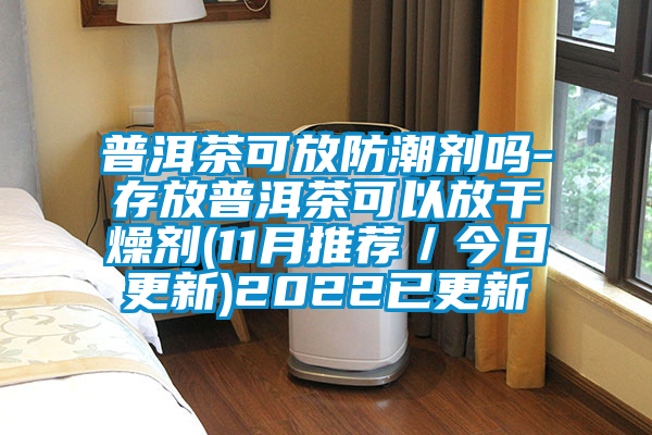 普洱茶可放防潮剂吗-存放普洱茶可以放干燥剂(11月推荐/今日更新)2022已更新