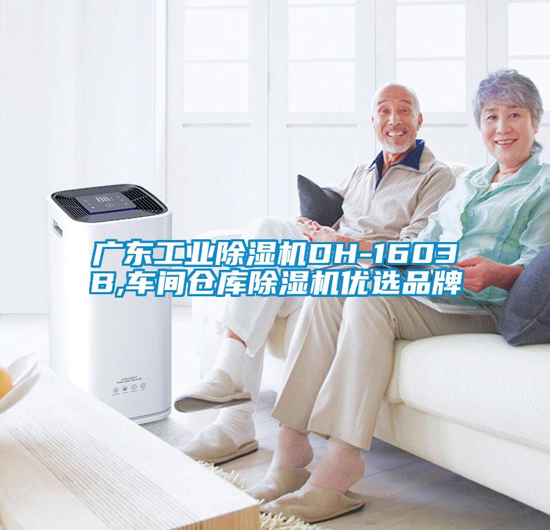 广东工业好色先生污污版DH-1603B,车间仓库好色先生污污版优选品牌
