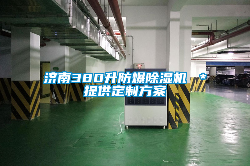 济南380升防爆好色先生污污版 ＊提供定制方案