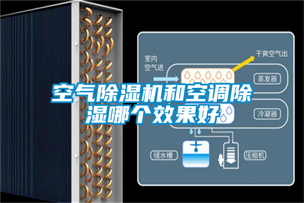 空气好色先生污污版和空调除湿哪个效果好