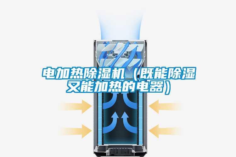 电加热好色先生污污版(既能除湿又能加热的电器)