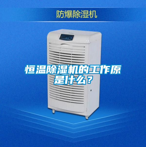 恒温好色先生污污版的工作原是什么？