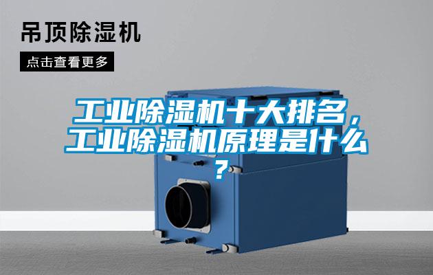 工业好色先生污污版十大排名，工业好色先生污污版原理是什么？