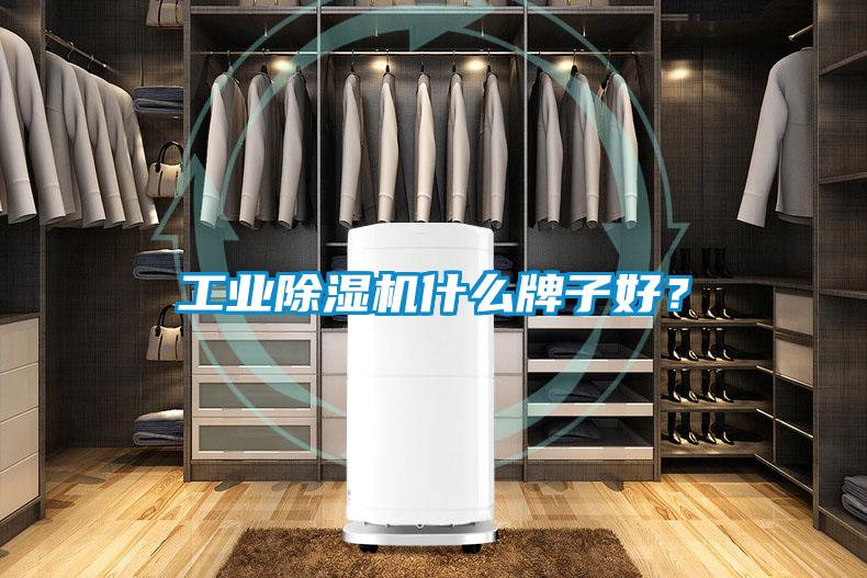 工业好色先生污污版什么牌子好？