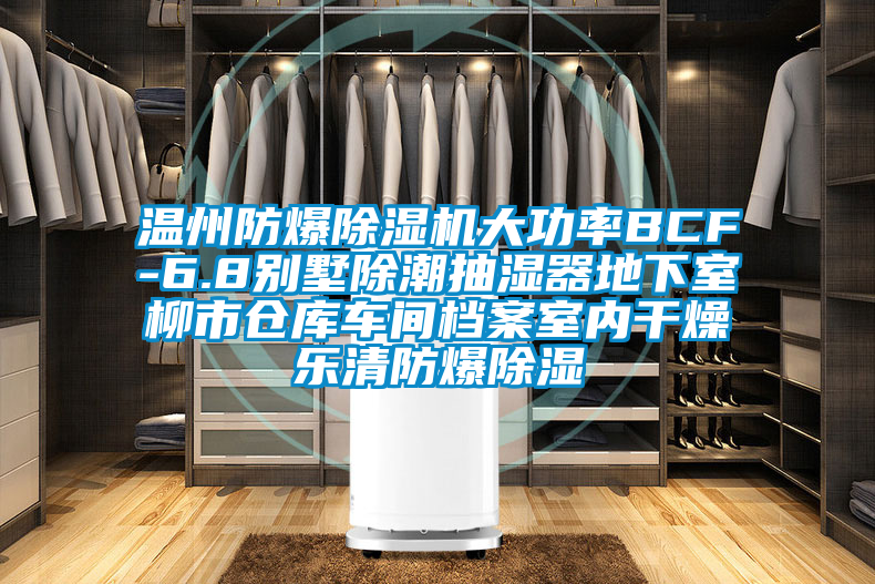 温州防爆好色先生污污版大功率BCF-6.8别墅除潮抽湿器地下室柳市仓库车间档案室内干燥乐清防爆除湿