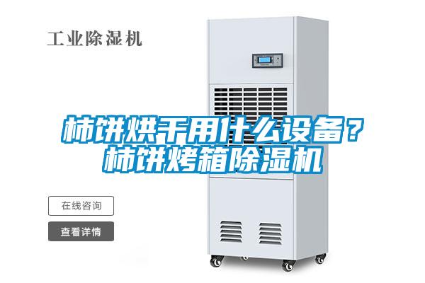 柿饼烘干用什么设备？柿饼烤箱好色先生污污版