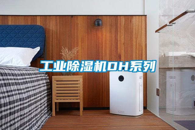 工业好色先生污污版DH系列