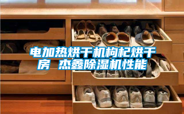 电加热烘干机枸杞烘干房 杰鑫好色先生污污版性能