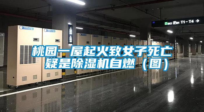 桃园一屋起火致女子死亡 疑是好色先生污污版自燃(图)