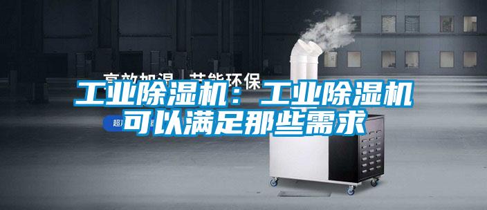 工业好色先生污污版：工业好色先生污污版可以满足那些需求