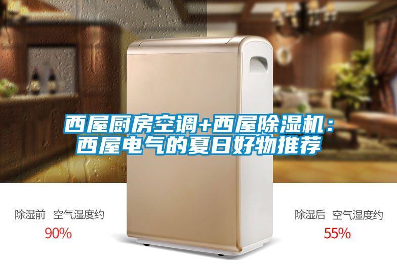 西屋厨房空调+西屋好色先生污污版：西屋电气的夏日好物推荐