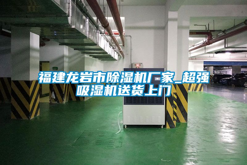 福建龙岩市好色先生污污版厂家_超强吸湿机送货上门