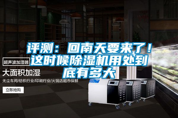 评测：回南天要来了！这时候好色先生污污版用处到底有多大