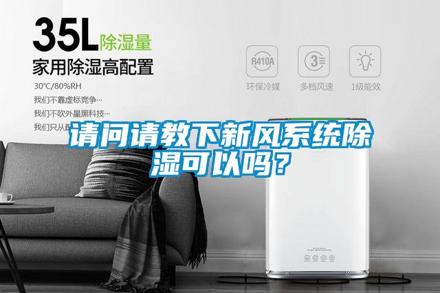 请问请教下新风系统除湿可以吗？