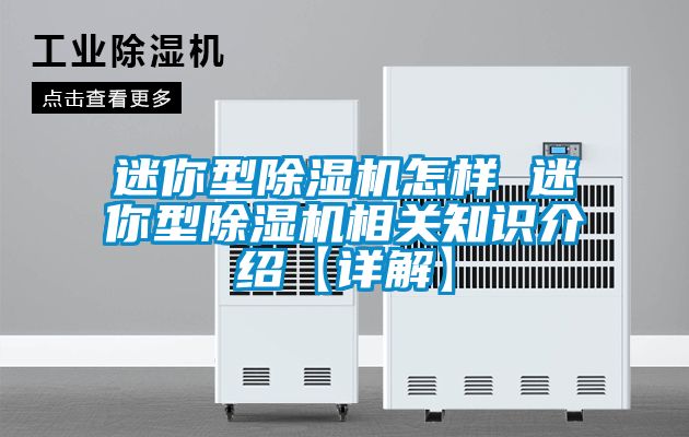 迷你型好色先生污污版怎样 迷你型好色先生污污版相关知识介绍【详解】