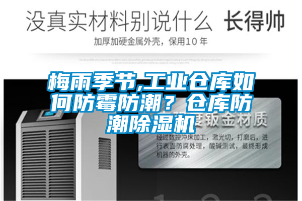 梅雨季节,工业仓库如何防霉防潮？仓库防潮好色先生污污版