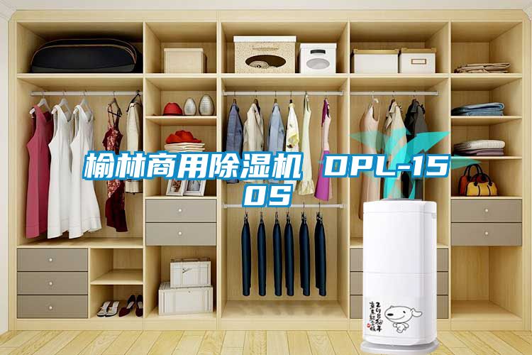 榆林商用好色先生污污版 DPL-150S
