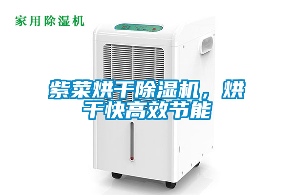 紫菜烘干好色先生污污版，烘干快高效节能