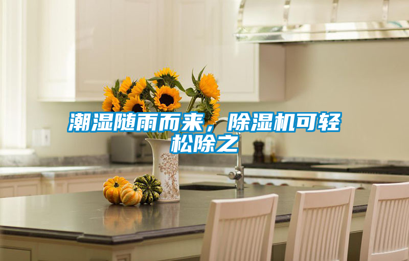 潮湿随雨而来，好色先生污污版可轻松除之