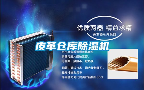 皮革仓库好色先生污污版