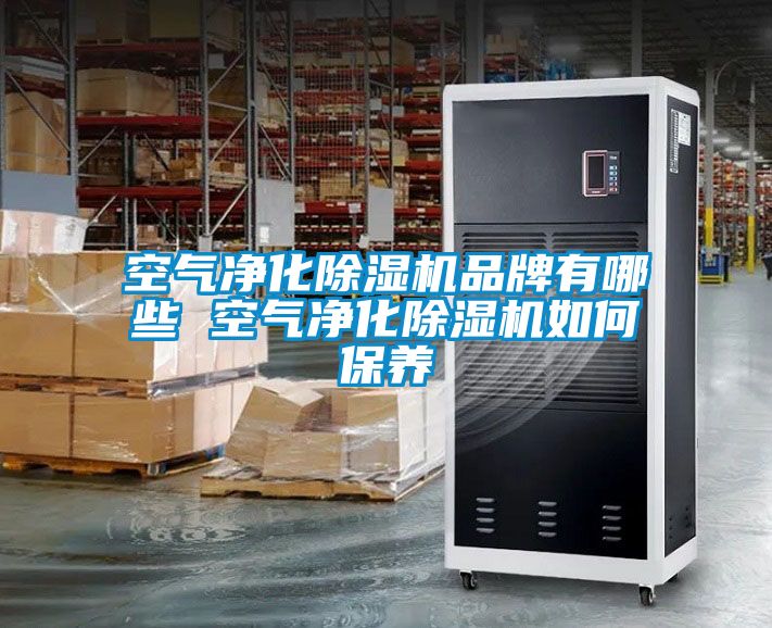 空气净化好色先生污污版品牌有哪些 空气净化好色先生污污版如何保养