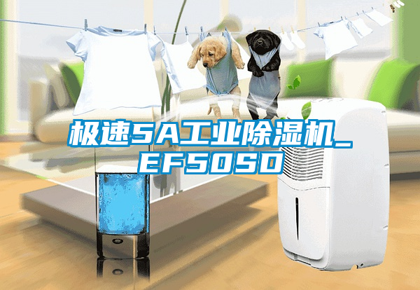 极速5A工业好色先生污污版_EF50SD