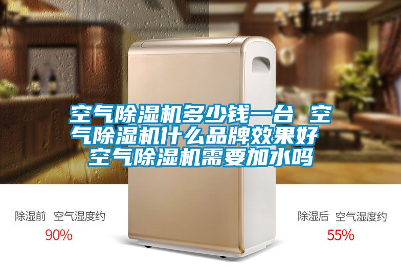 空气好色先生污污版多少钱一台 空气好色先生污污版什么品牌效果好 空气好色先生污污版需要加水吗