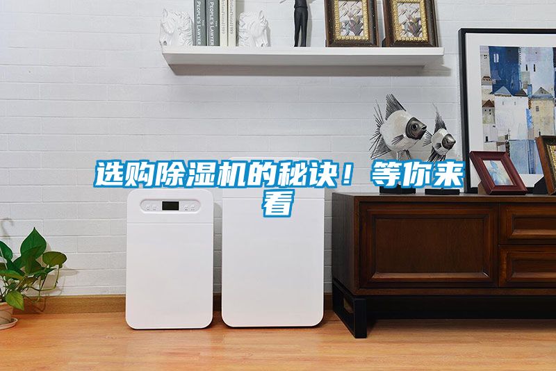 选购好色先生污污版的秘诀！等你来看