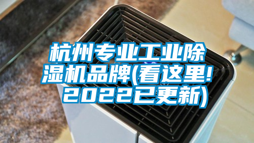 杭州专业工业好色先生污污版品牌(看这里! 2022已更新)