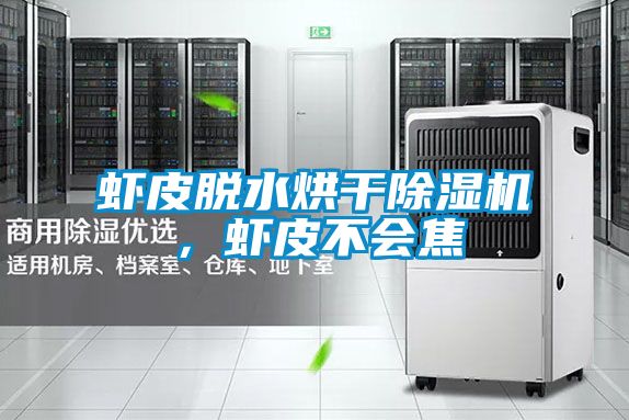 虾皮脱水烘干好色先生污污版，虾皮不会焦