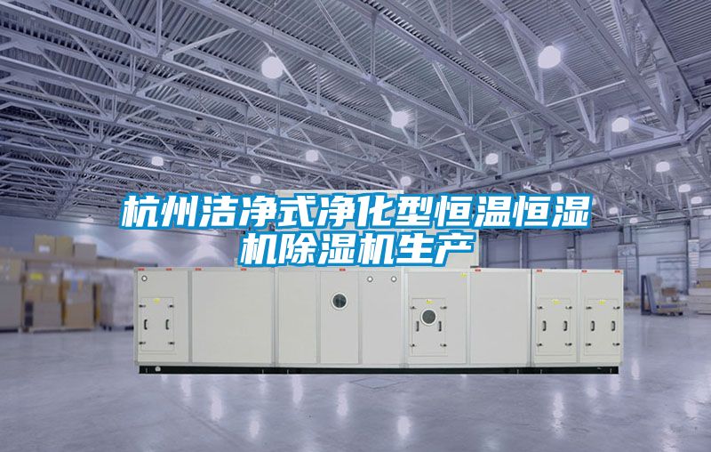 杭州洁净式净化型恒温恒湿机好色先生污污版生产